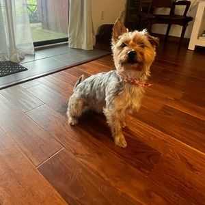 💕🐶CLOSET REFRESH!🐶💕